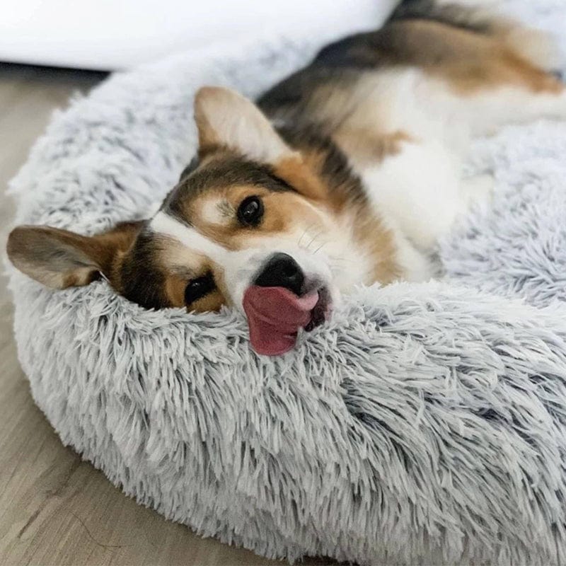 Lisslune | COZYPET – Calming Dog Bed with Plush Synthetic Fur & Removable Cover