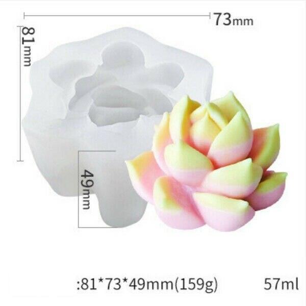 Lisslune | Creative 3D Cactus and Succulent Silicone Mold for Unique Creations and Baking