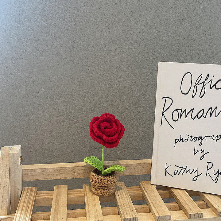 Rynx | Crochet Potted Plants Mini Flowers