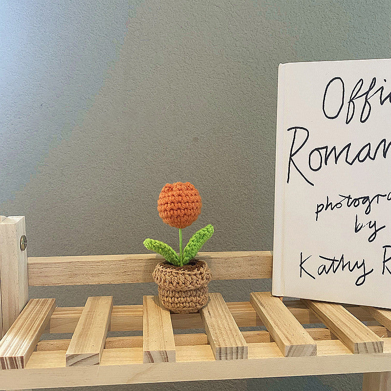 Rynx | Crochet Potted Plants Mini Flowers