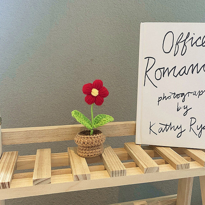 Rynx | Crochet Potted Plants Mini Flowers