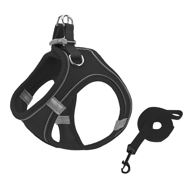 Lisslune | Small pet harness and leash set