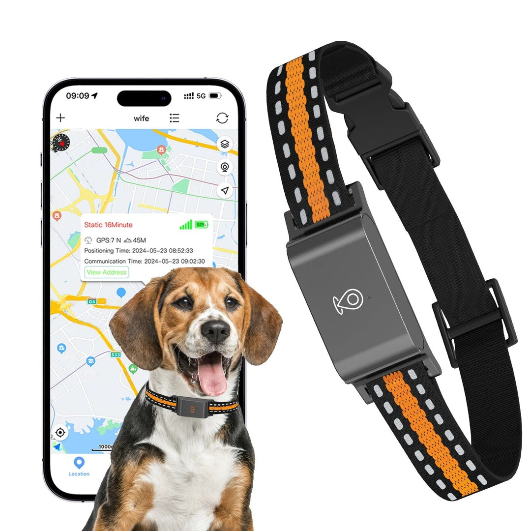Lisslune | GPS Dog and Cat Collar – Unlimited Range Real-Time Tracker