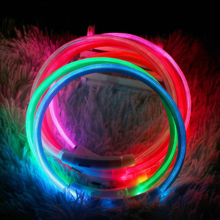 Lisslune | LED Waterproof Dog Collar