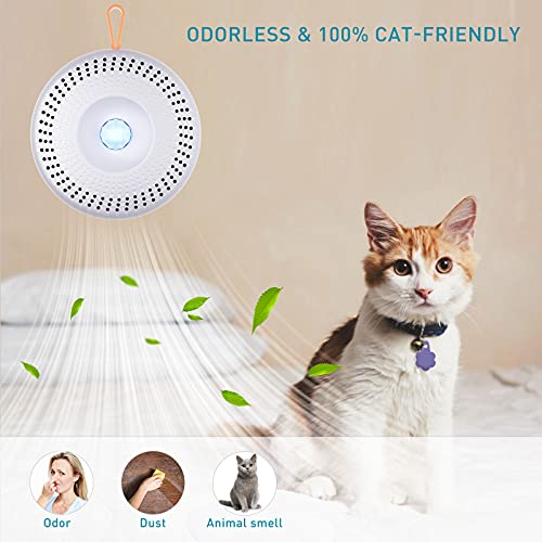 Lisslune | Smart odor remover