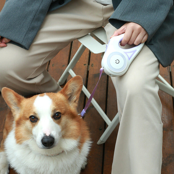 Lisslune | LED Light Chain Dog Harness