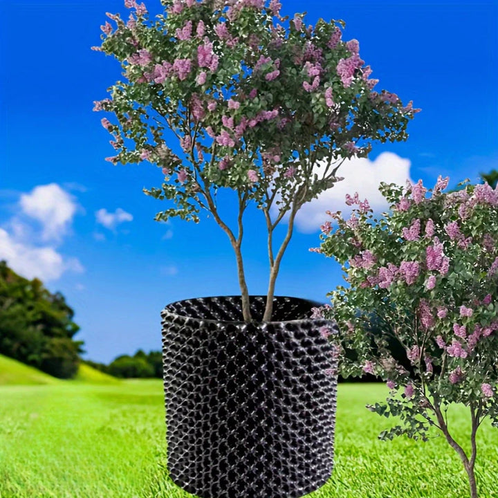 Lisslune | Root control device for plants and landscaping to promote healthy growth