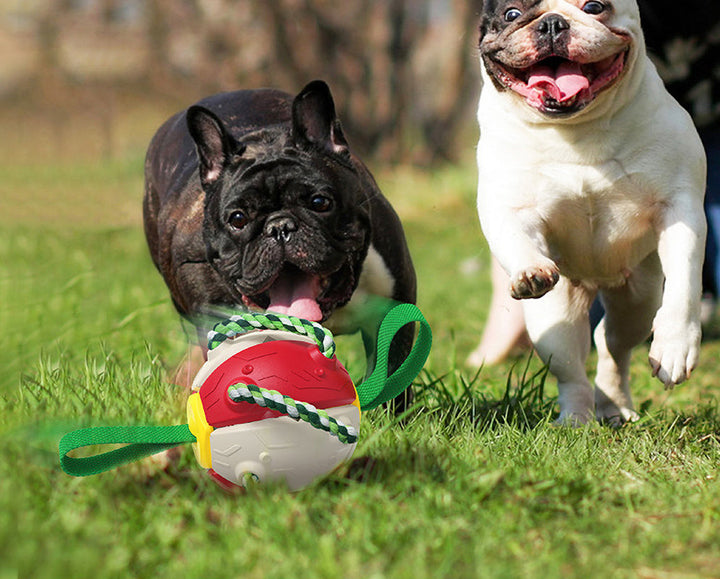 Lisslune | Interactive dog toy