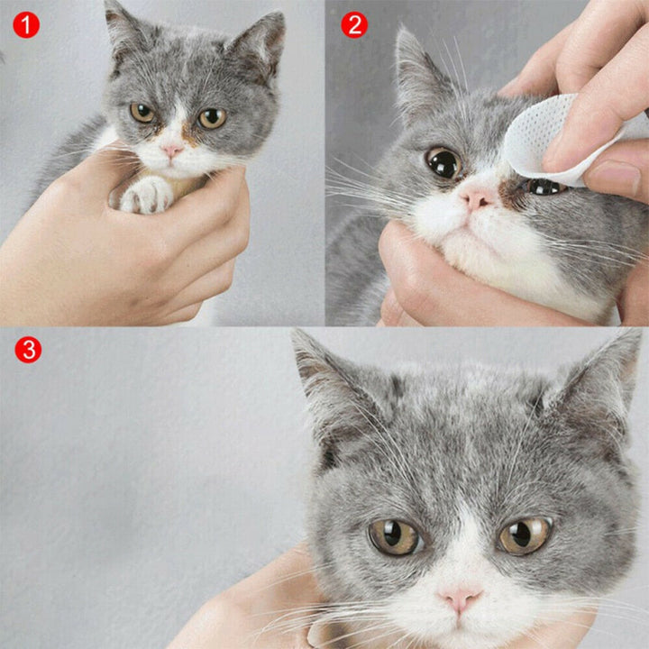 Lisslune | Pet Moisture Wipes