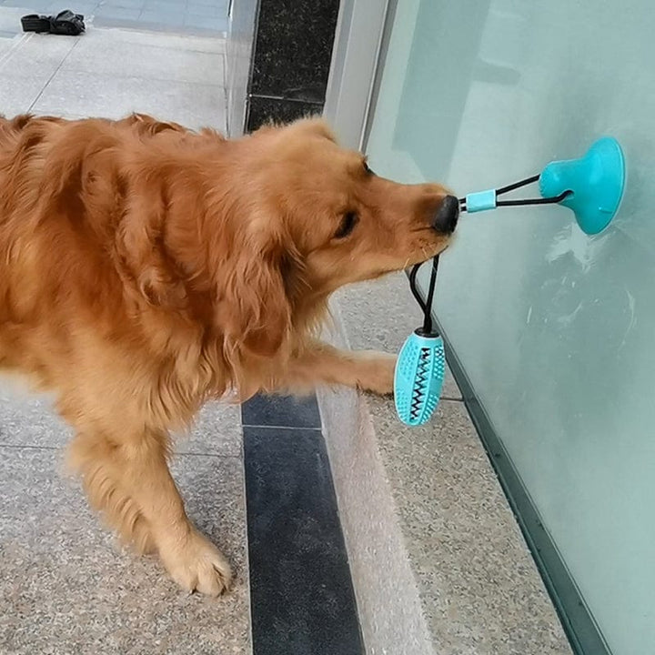 Lisslune | Silicone Suction Cup Dog Toy Dress