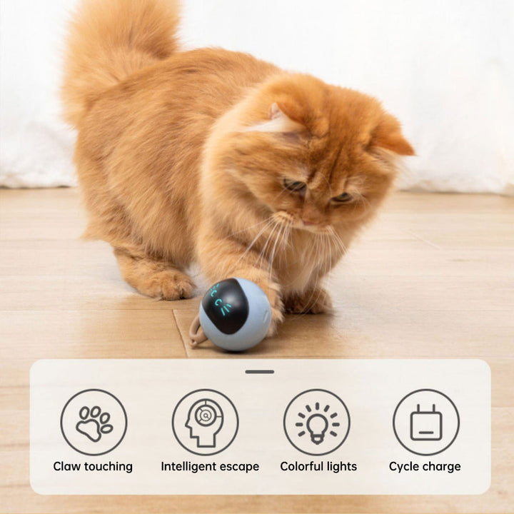Lisslune | Cats Electronic Toy