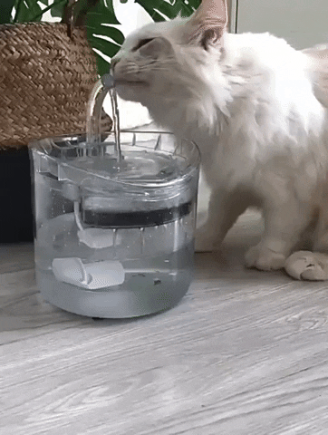 Lisslune | Smart Cat Water Fountain