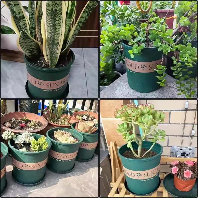 Lisslune | Robust Plant Pot Made of Plastic – Weatherproof Flower Pot for Garden and Balcony