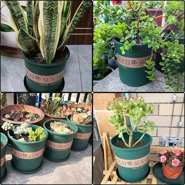 Lisslune | Robust Plant Pot Made of Plastic – Weatherproof Flower Pot for Garden and Balcony