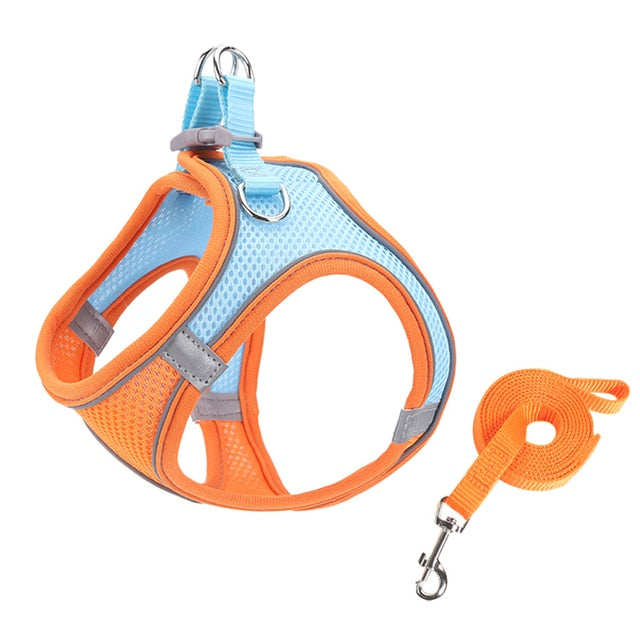 Lisslune | Small pet harness and leash set
