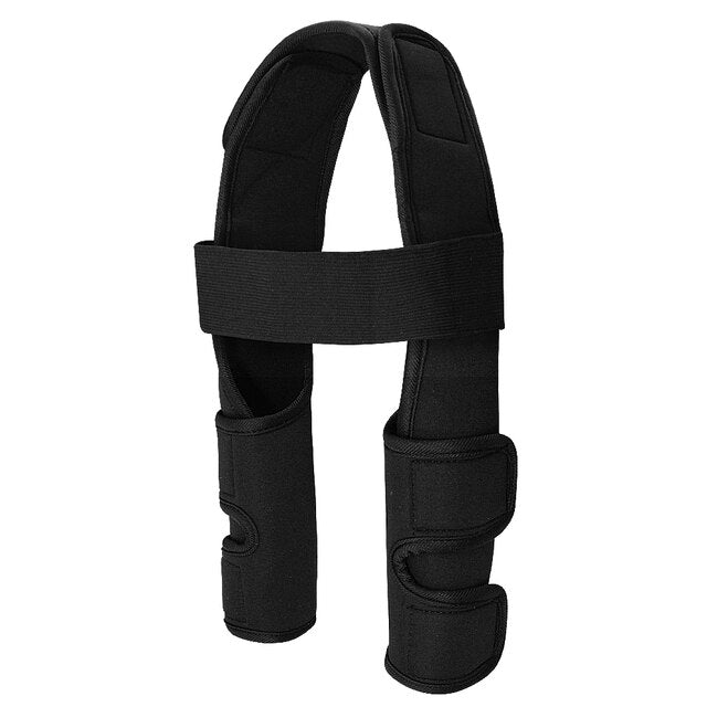 Lisslune | Pet back support