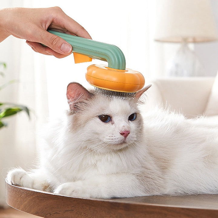 Lisslune | Cat Pumpkin Care Brush