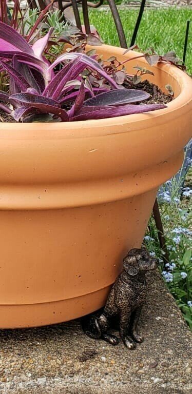 Lisslune | Potty Feet Plant Pot Feet