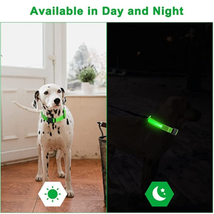 Lisslune | Luminous dog collar