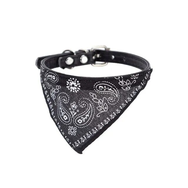 Lisslune | Pet Collar