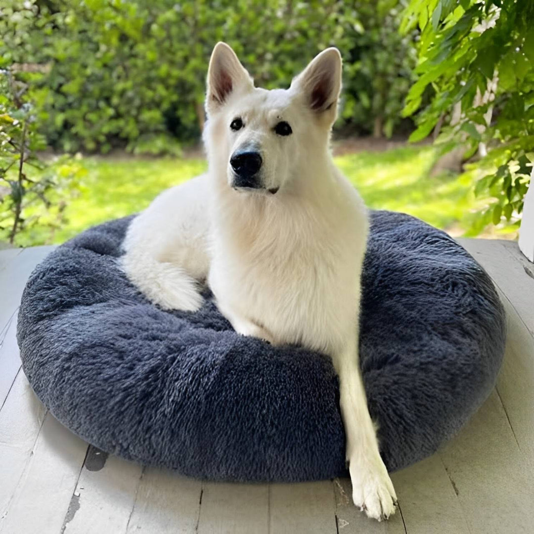 Lisslune | Calming Dog Bed