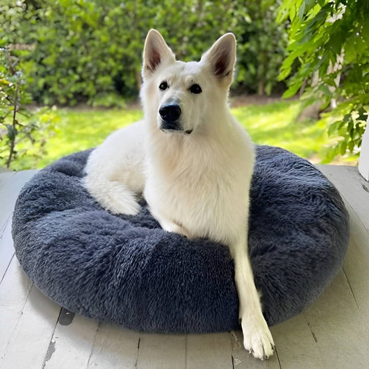 Lisslune | Calming Dog Bed