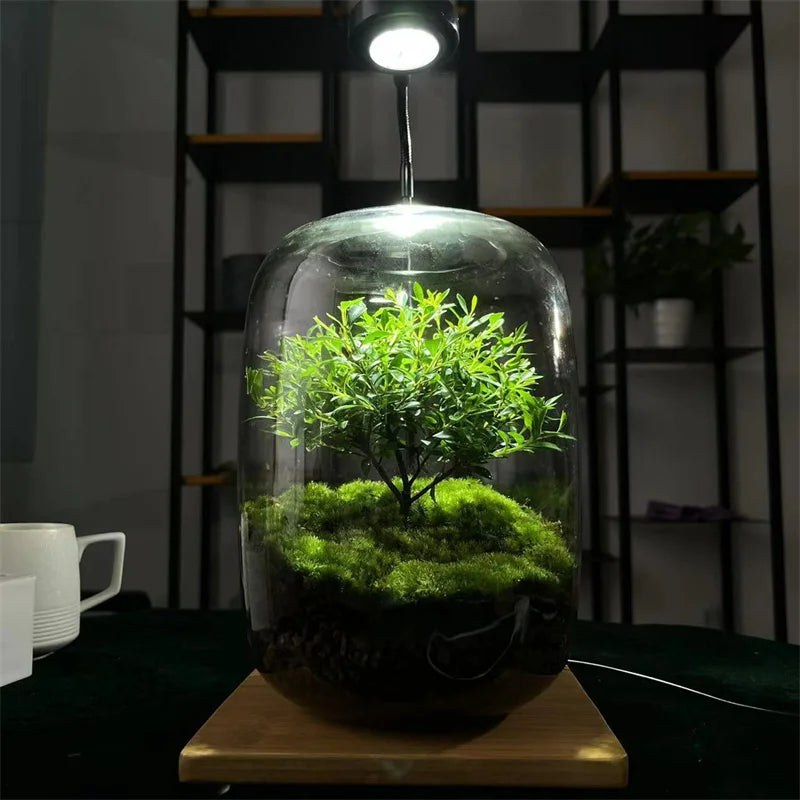 Lisslune | Micro Landscape Green Oasis Glass Vase
