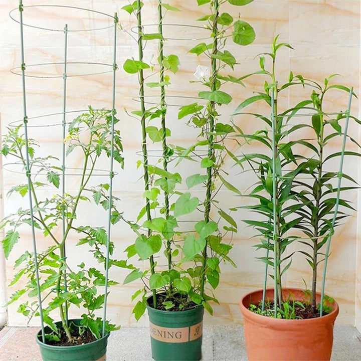 Lisslune | Climbing frame for plants – Sturdy support ring frame for climbing plants