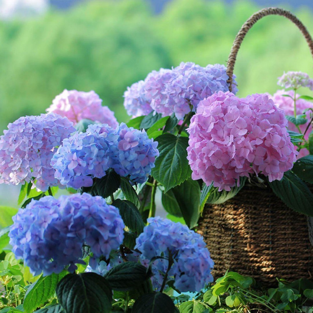 Lisslune | Outdoor Artificial Hydrangea Flowers