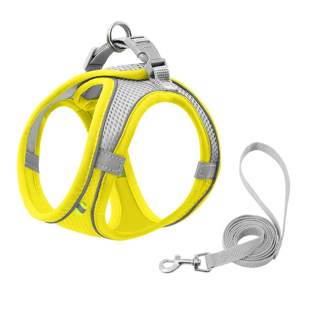 Lisslune | Small pet harness and leash set
