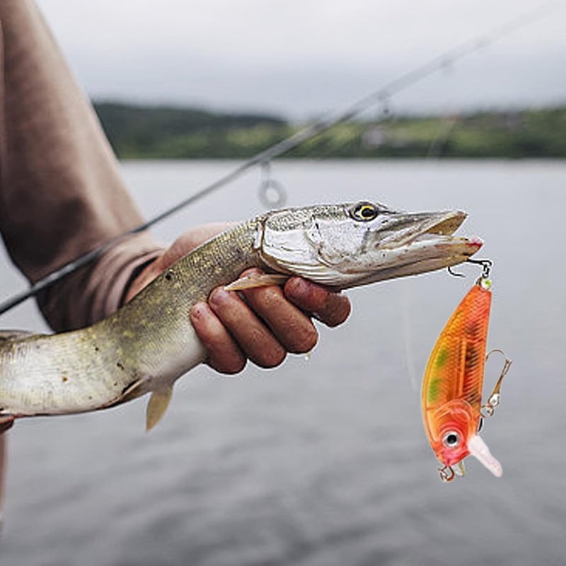 Lisslune | 24 Days Christmas Countdown Fish Tackle Set