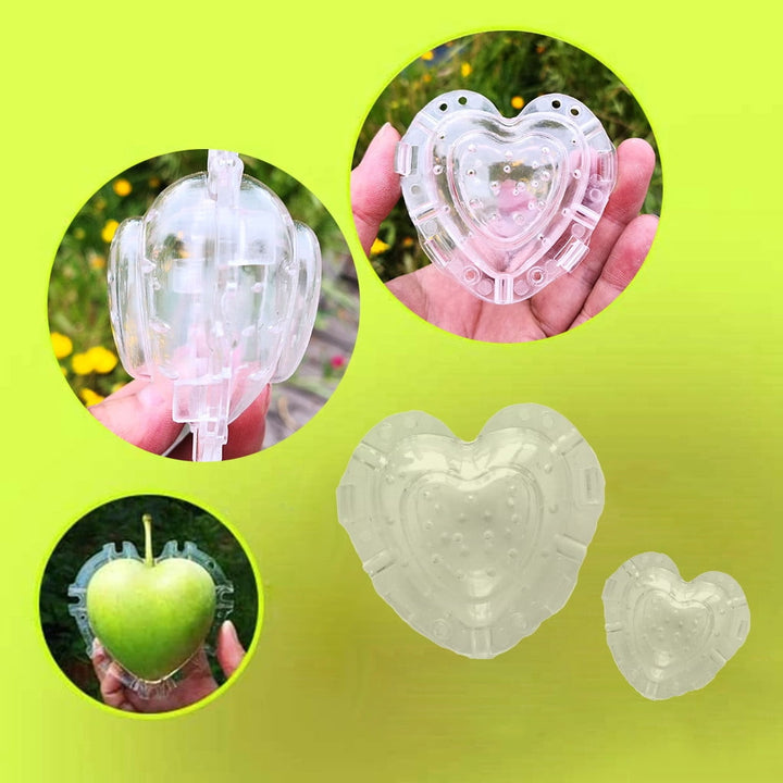 Lisslune | Heart Shaped Vegetable Cutter – Creative Mold Bowl for Vegetables and Fruits