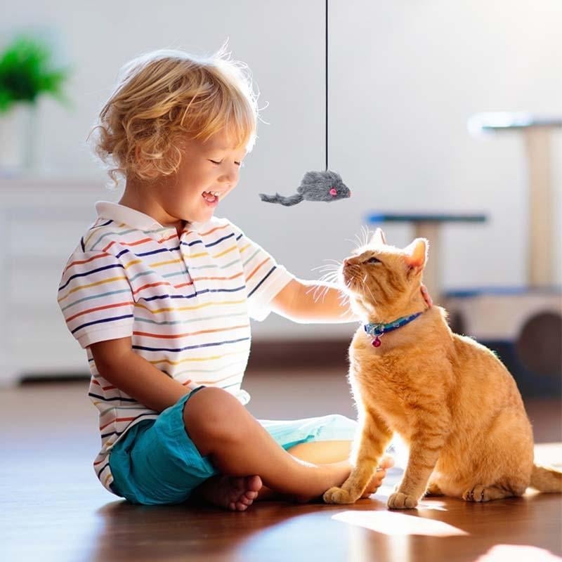 Lisslune | Hanging Door Bouncing Mouse Cat Toy
