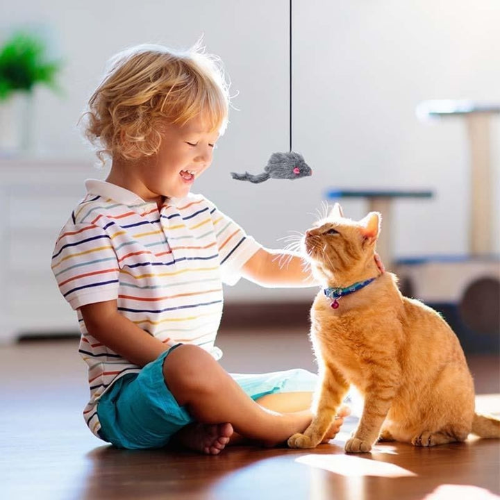 Lisslune | Hanging Door Bouncing Mouse Cat Toy