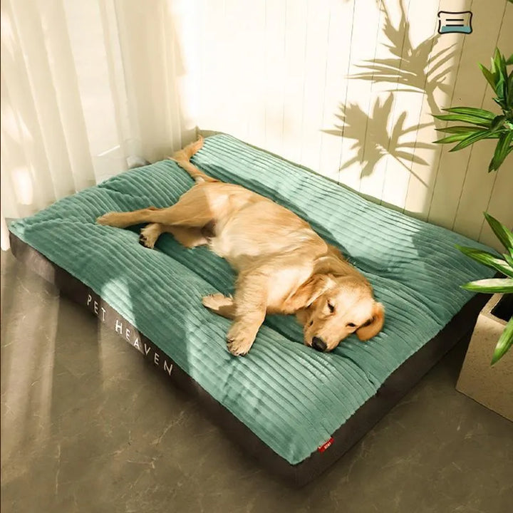 Lisslune | DreamRest Orthopedic Dog Bed – Fluffy, Supportive & Washable Comfort