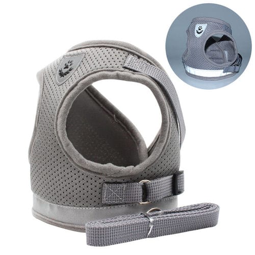 Lisslune | Cat collar and leash