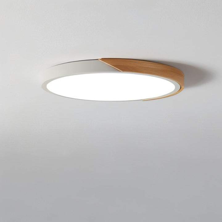 Lisslune | Modern LED Ceiling Light - Minimalist Lighting for Your Interior