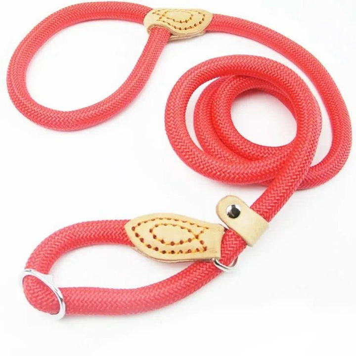 Lisslune | GUILLAUME LAISSE – Robust dog leash made of climbing rope for maximum control & safety