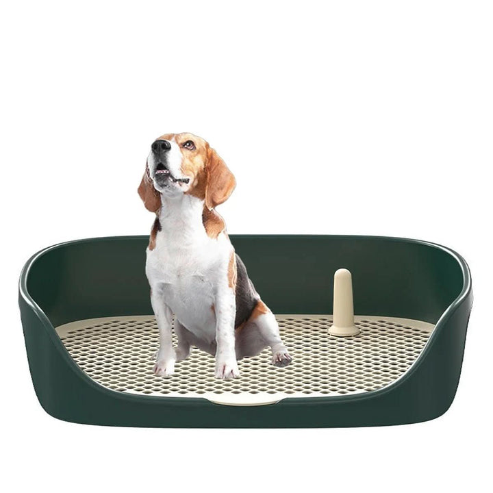 Lisslune | VICTOR FORMATION – Toilet trainer for puppies with anti-splash edge