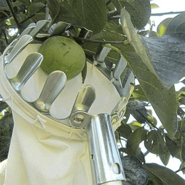 Lisslune | Fruit Picker Head Basket