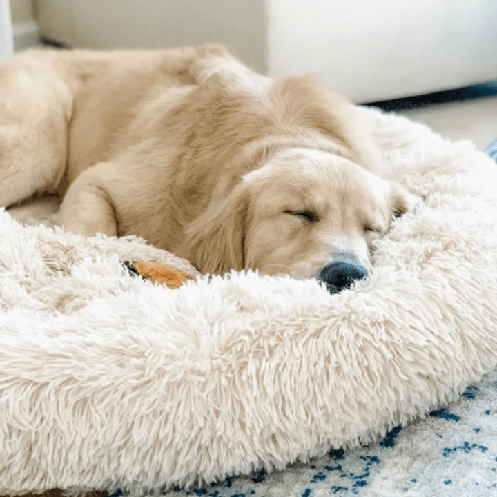 Lisslune | Beef Plush Calming Donut Dog Bed for Small to Large Dogs