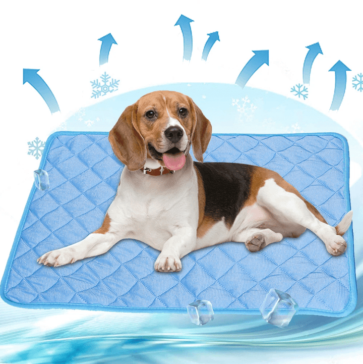Lisslune | DogCool – Self-Cooling Dog Mat for Hot Summer Days