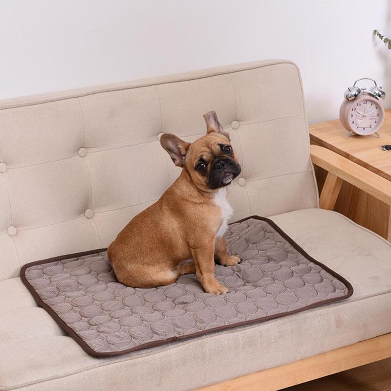 Lisslune | DogCool – Self-Cooling Dog Mat for Hot Summer Days