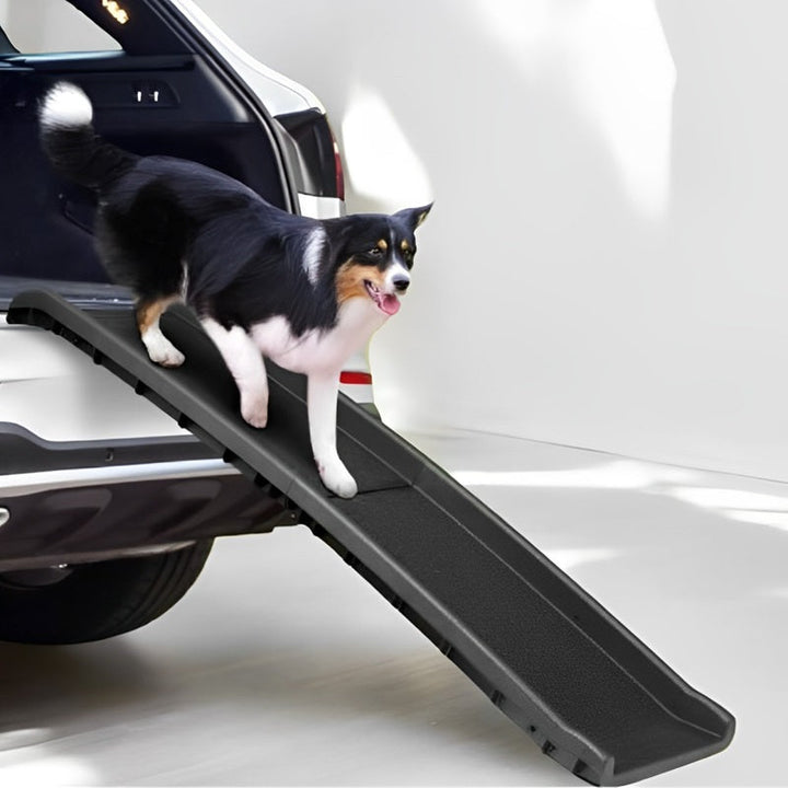 Lisslune | Foldable Pet Ramp with Non-Slip Surface