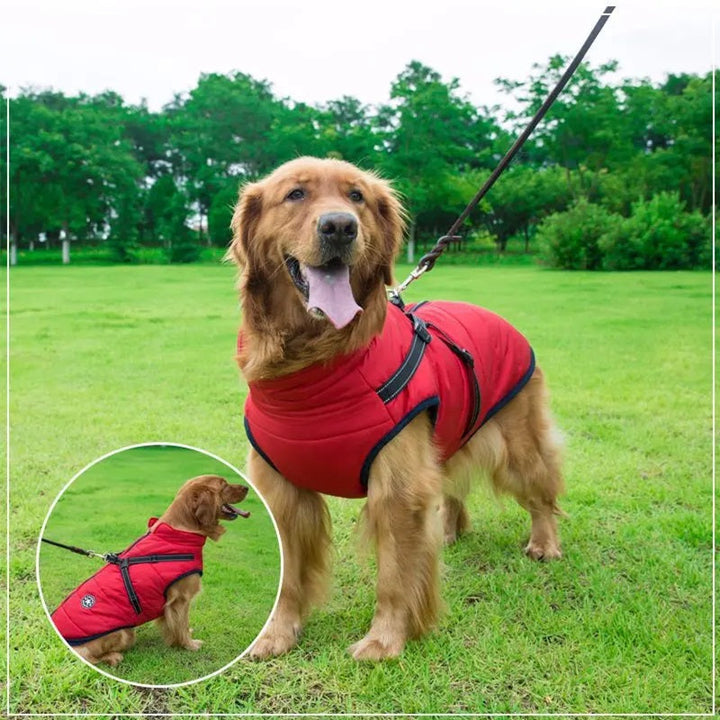 Lisslune | Waterproof Dog Jacket for Winter with Reflective Built-In Harness