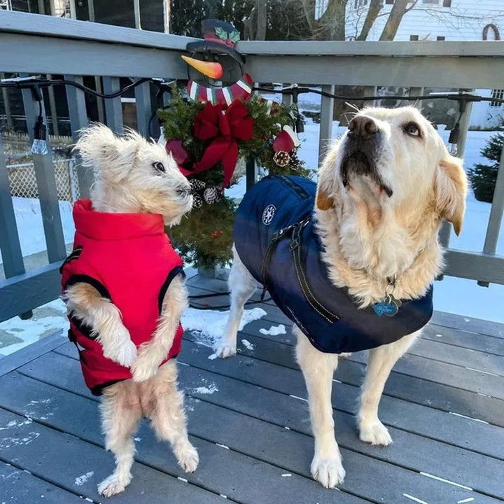 Lisslune | Waterproof Dog Jacket for Winter with Reflective Built-In Harness