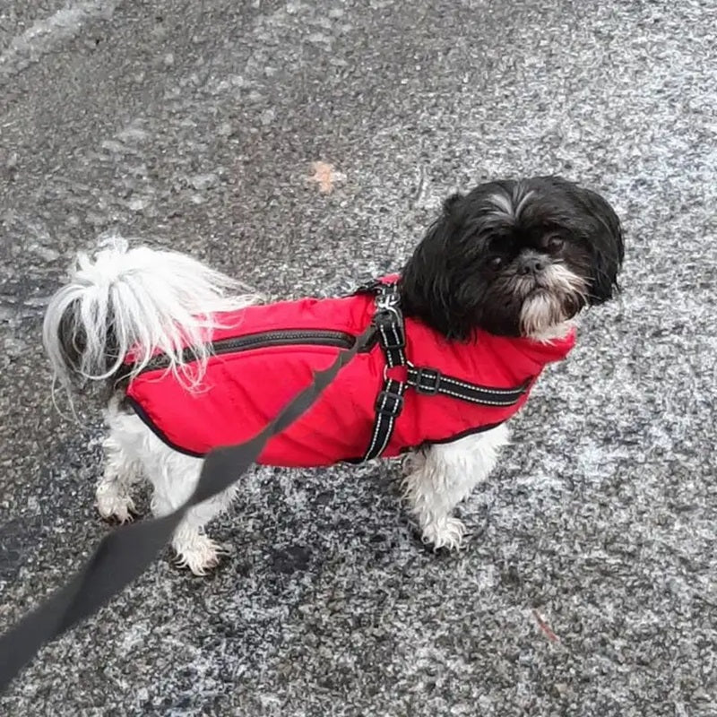 Lisslune | Waterproof Dog Jacket for Winter with Reflective Built-In Harness