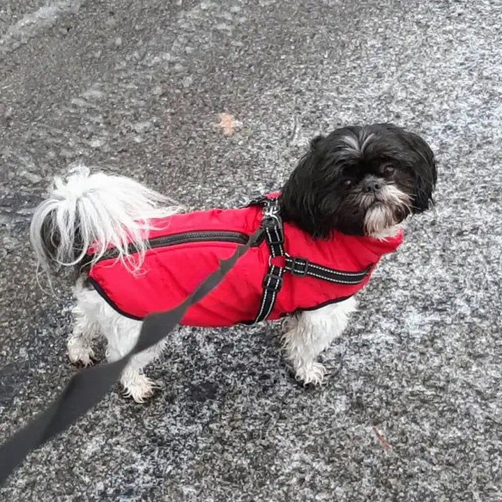 Lisslune | Waterproof Dog Jacket for Winter with Reflective Built-In Harness