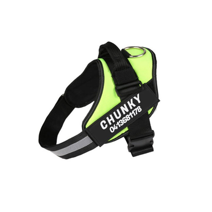 Lisslune | Dogsafe Harness – Reflective, No-Pull Dog Harness with Personalizable Name Tag
