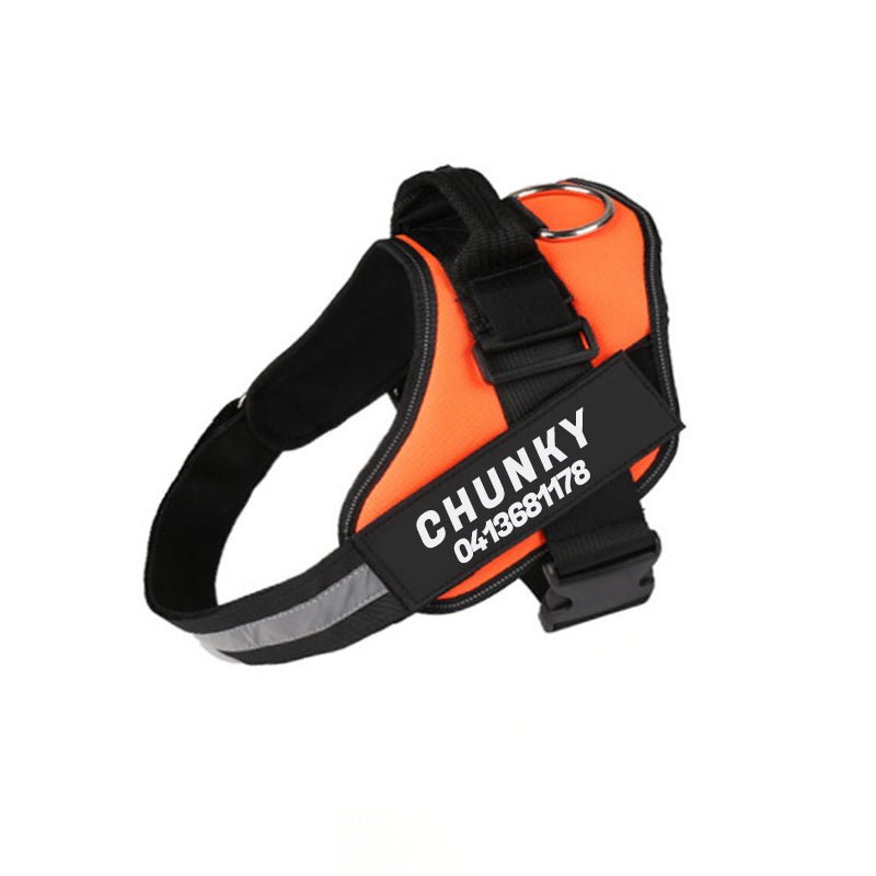 Lisslune | Dogsafe Harness – Reflective, No-Pull Dog Harness with Personalizable Name Tag